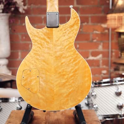 Williams Guitars USA “Western PA” — Limited Edition (2023) image 8