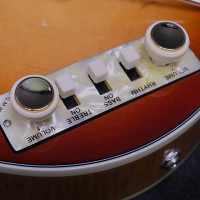 Hofner HCT500/1 Beatle Violin Bass Pearloid Control Plate With H909/15 Tea Cup Knobs & CUSTOM Cream Switches image 6