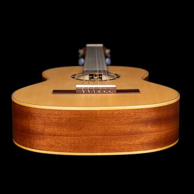 Ortega R121-3/4 Family Series Spruce Top Mahogany Neck 3/4 Size Nylon 6-String Classical Acoustic Guitar w/Gig Bag image 11