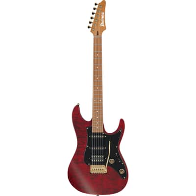 Ibanez Scott LePage SLM10-TRM image 2