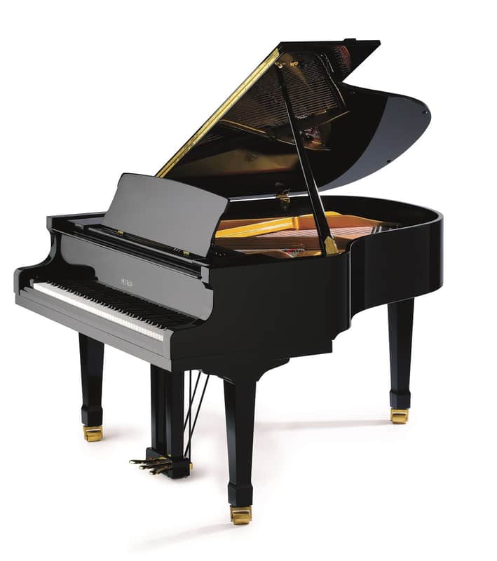 Petrof P 173 Breeze Black high polish Grand Pianos image 1
