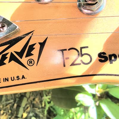 Peavey T-25 Special, Made in USA 1983, Pro Serviced image 13