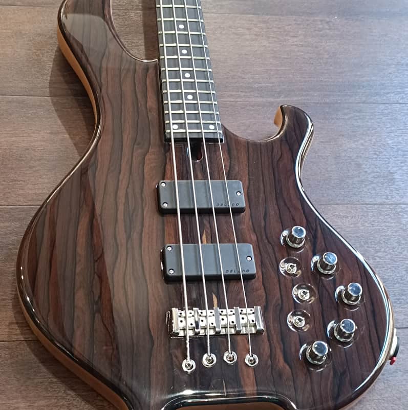 Maruszczyk Instruments Frog Pi Wojtek Pilichiwsky