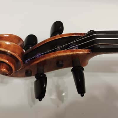 Alessandro Bertoli 4/4 Full size violin 2018 plus g Werner pernambuco bow and old case image 11