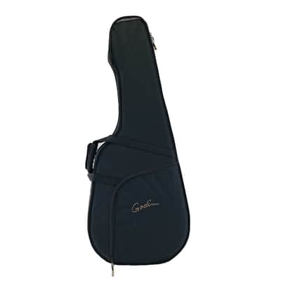 Godin TRIC Case Multiac Steel image 3