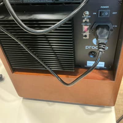 Prodipe Natural 6 Amplifier Cherrywood image 4