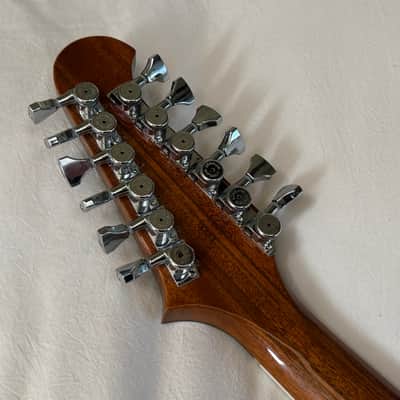 One of a Kind Gibson Firebird V-12 Custom Modified 12-String Guitar - Vintage Sunburst - Free Pro Setup image 18