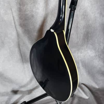 Beautiful Bluegrass Mandolin – Excellent Condition & Powerful Tone image 3
