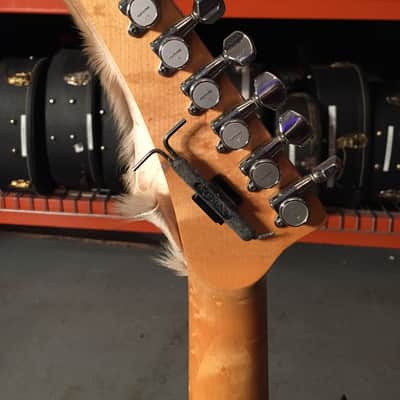 Custom Built Steerhorn Deerskin Warmoth Guitar disowned by Jeff Tweedy image 7