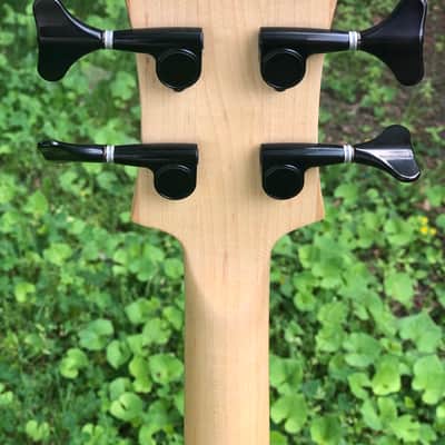 Birdsong Cortabass 2H Shortscale Custom Bass image 8