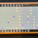 Roger Linn LinnStrument 200 / Standard MPE MIDI controller