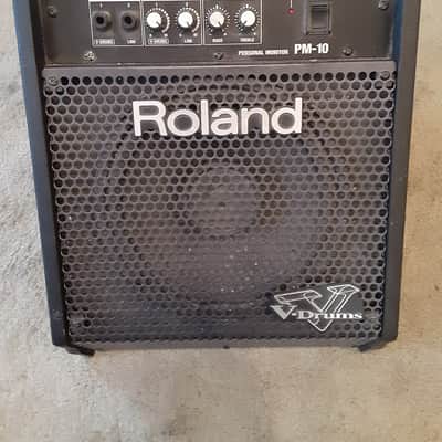 Roland PM-10 30-Watt 2x10
