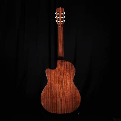 Used Alvarez Artist Series AC60S Nylon Acoustic Guitar image 8