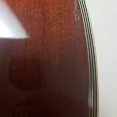 Eastman  AR805 2010 Violin Finish With K&K Definity image 11