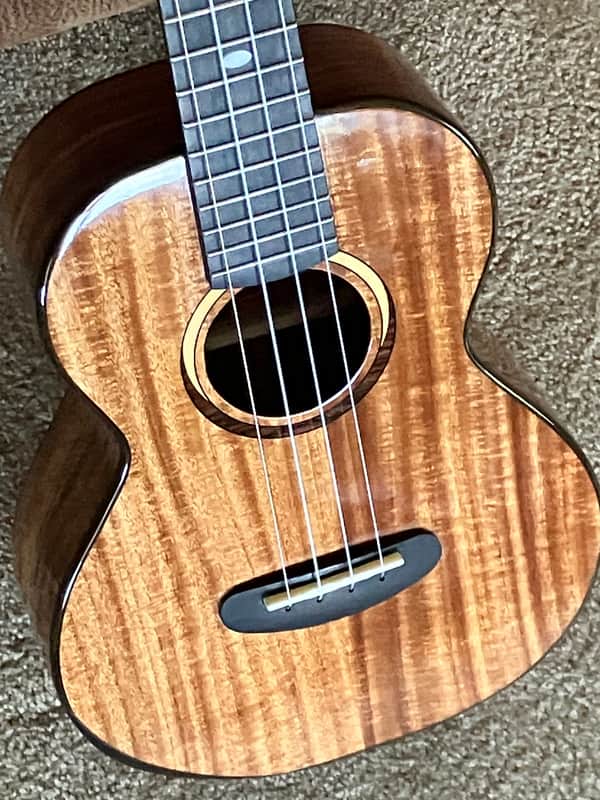 Kala Ka-Ct-Sa-Tg All Solid Acacia Tenor Ukulele image 1
