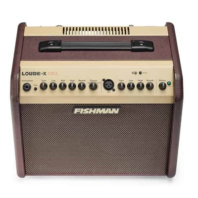 Fishman LoudBox Mini 60-watt 1 x 6.5" Acoustic Guitar Amplifier image 3