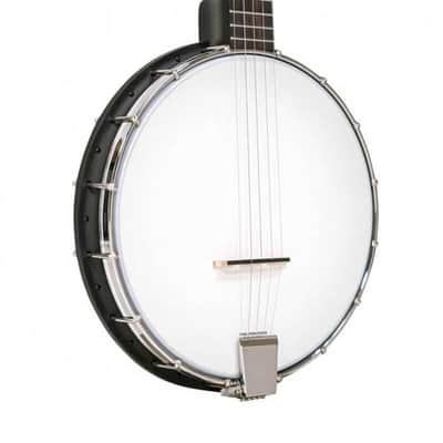BANJO 5 Cordes GOLD TONE AC-1 - open back image 2