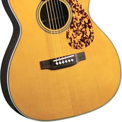 Blueridge BR-163 Historic Series 000 Guitar image 1