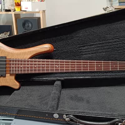 Corpus Buddy Bass 5 Strings - Lodato Guitars Handcrafted image 2