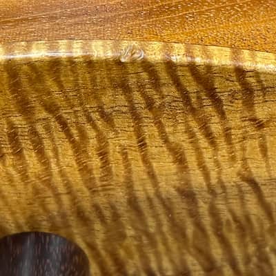 Carvin AC50L Custom USA Left Handed Fretless Acoustic Electric 5-string Bass image 12