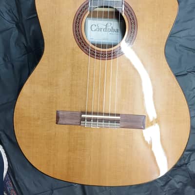 Cordoba Classical Acoustic Electric Guitar Iberia Series Model C5-CE New-w/Setup and Warranty! image 2