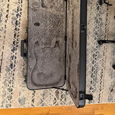 Fender 099-6102-306 Deluxe Molded Strat / Tele Case 2010s - Black image 4