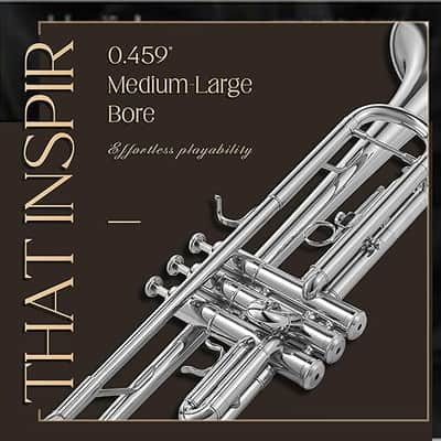 Hand-Hammered Bell Bb Trumpet: Smooth Valve Action, Clear-Lacquered Brass Body, Standard Trumpet Beginner Set with Leather Case, Lesson Book, Trumpet Mute, Mouthpiece, Cleaning Kit image 2