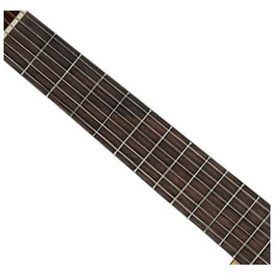 Ortega Guitars RPPC44 Picker's Pack Student Series Classical Guitar Pack image 3
