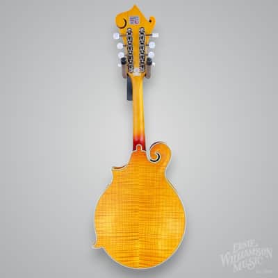 Epiphone MM-50E Professional Mandolin 2010s - Vintage Natural Bild 6