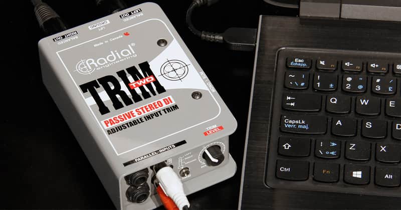 Radial Pro Trim-Two Passive DI 2010s - Gray image 1