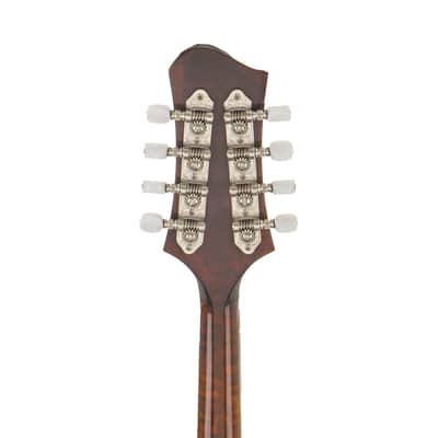 Eastman MD505 Mandolin #N2500813 image 7