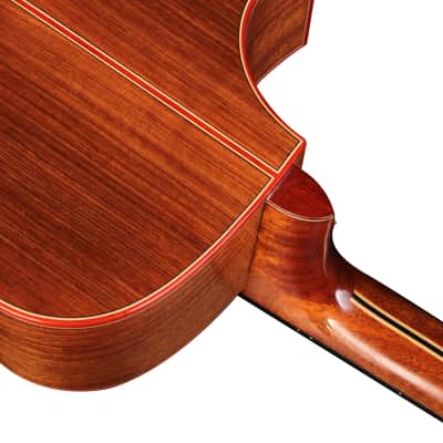 Natasha JC5A - Sitka Spruce and Santos Acoustic Guitar 2023 - Gloss image 6