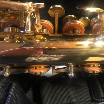 Apollo AAS 23 Student Alto Saxophone - Gold Lacquer image 4