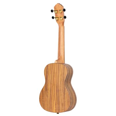 Ortega RUTI-CC-L Timber Series Solid Cedar Top Okoume Neck 4-String Concert Ukulele For Left Hand Player w/Gig Bag image 3