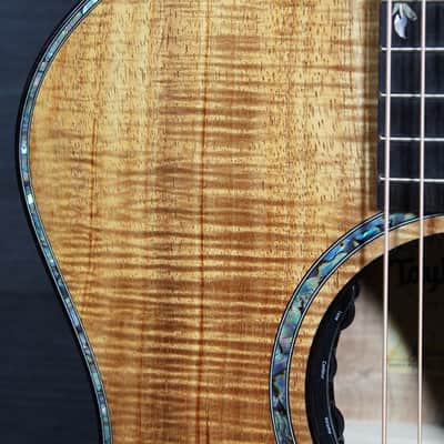Taylor Custom Grand Auditorium – Premium Hawaiian Koa / Performance Adi X-Bracing / Tobias Music Exclusive image 6