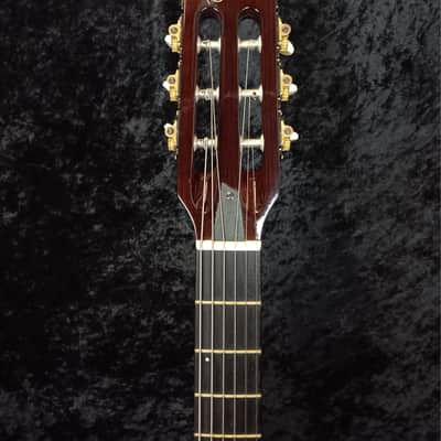 Godin Multiac Jazz SA - Lightburst image 11