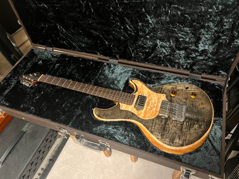 Nishgaki Style-N Guitar Amnis Radix 2018 Suiboku image 1