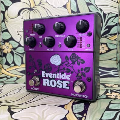 Immagine Eventide Rose - 7