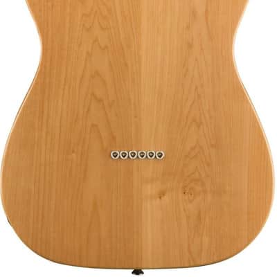 Squier Classic Vibe '70s Telecaster Thinline, Maple Fingerboard, Natural image 2