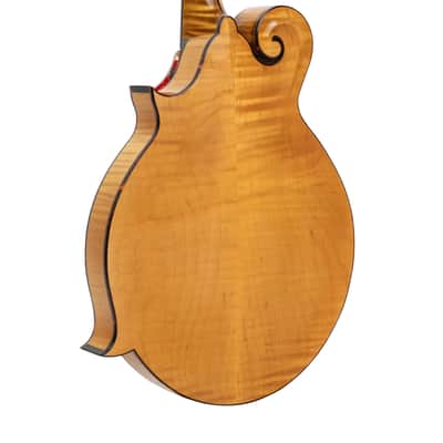 Gold Tone Grandmaster Elite Old Swiss/Italian Spruce Top 8-String Mandolin w/Hard Case image 2