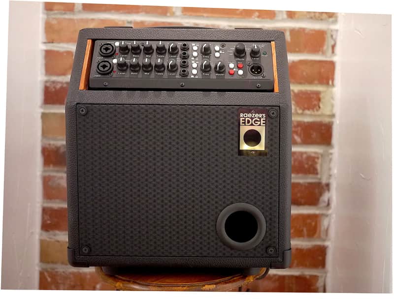 Raezer's Edge  One-6 COMBO Speaker Cabinet image 1