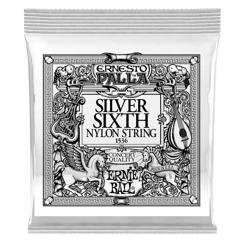 Ernie Ball 1536 Ernesto Palla Silver 6ª .042 image 1