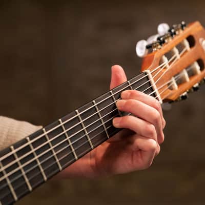 Ortega R121-3/4 Family Series Spruce Top Mahogany Neck 3/4 Size Nylon 6-String Classical Acoustic Guitar w/Gig Bag image 20