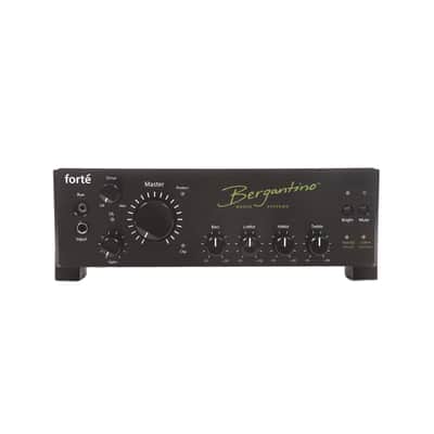 Bergantino Forte D Bass Amplifier Head image 1