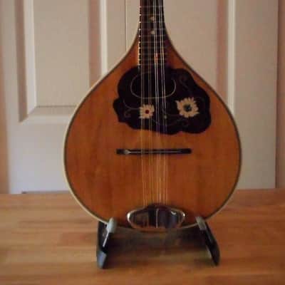 "Vintage" Perl-Gold German Mandolin  natural "Newly Restored" image 5