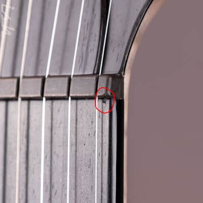 2024 PRS Private Stock Custom 22 Semi-Hollow image 9