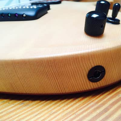 Parker Fly Artist, Custom (Odin) image 15