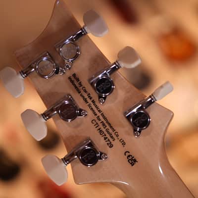 PRS SE Custom 24 - Slate Blue 4729 image 13
