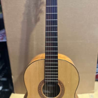 Vintage Giannini AWN71 Acoustic Guitar – Playable, Needs Restoration image 4