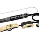 L.R. Baggs ANTHEM-SL Acoustic Guitar Pickup